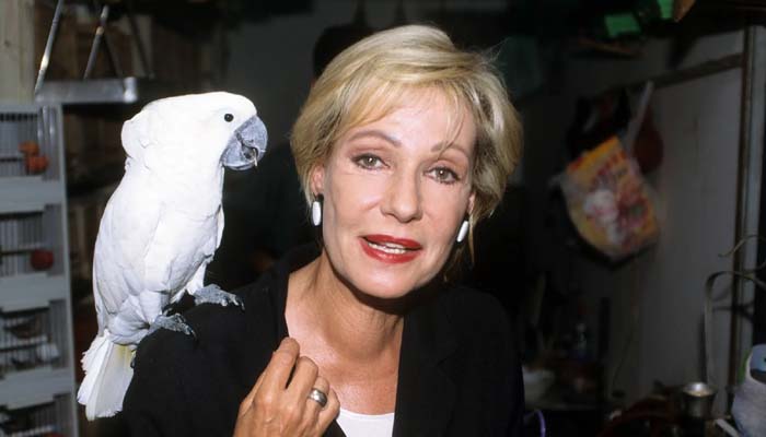 Dagmar Berghoff Schlaganfall – Wahrheit oder Gerücht? Dagmar Berghoff Schlaganfall